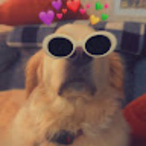 Meet your Posher, Ben